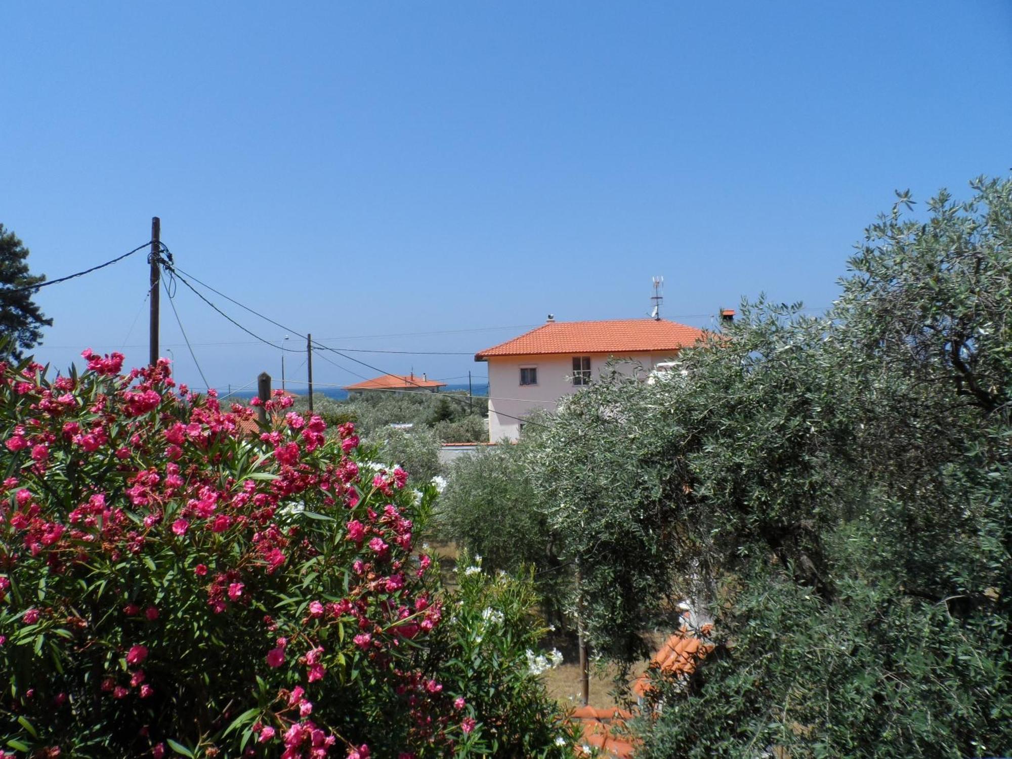 Amarilia Aparthotel Skala Rachoni  Exterior photo